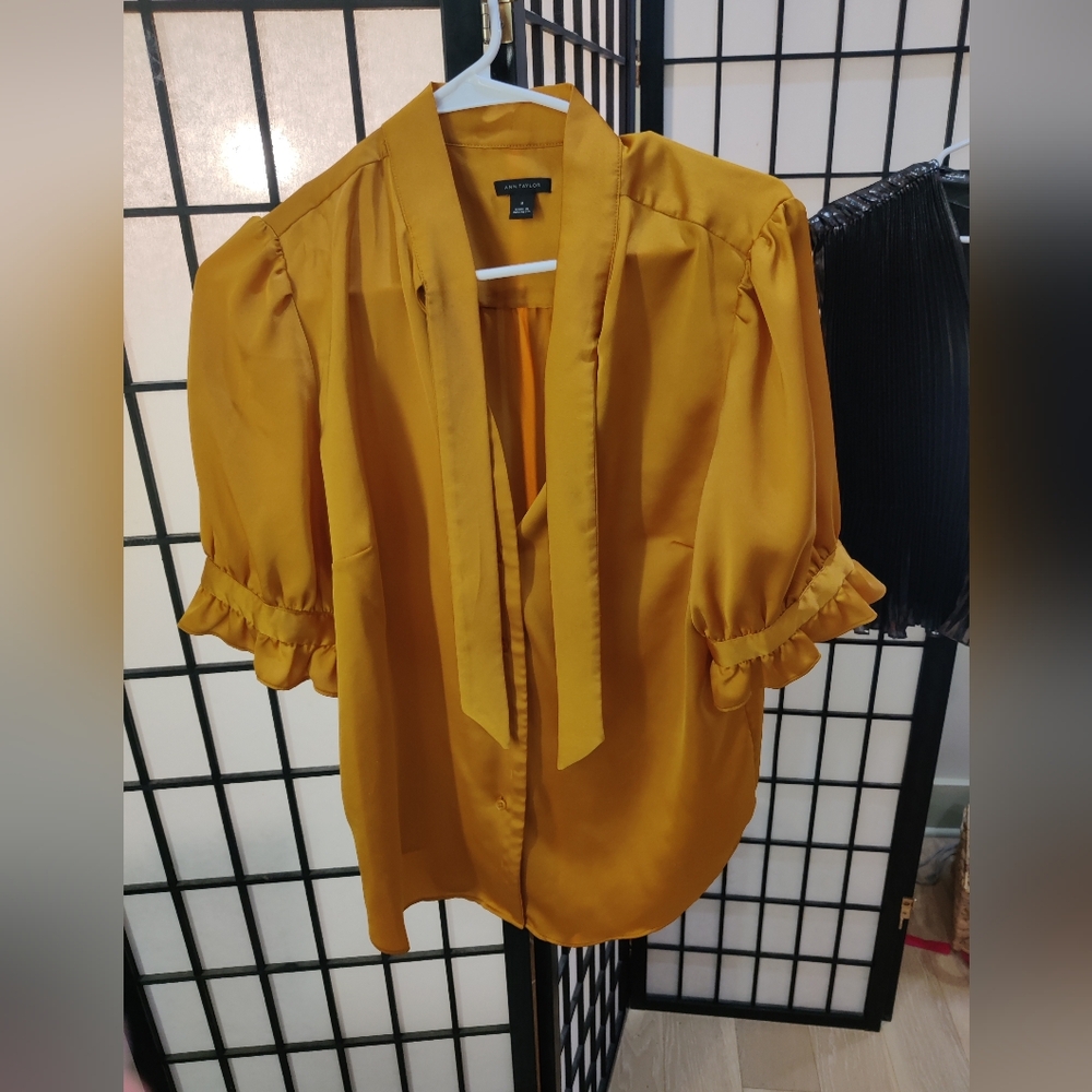 Ann Taylor tie neck blouse, size M